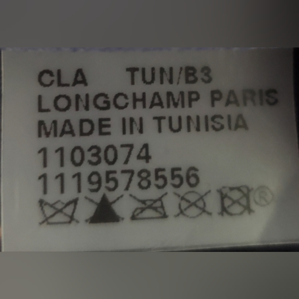 NWOT Longchamp backpack - Picture 3 of 3